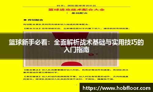 篮球新手必看：全面解析战术基础与实用技巧的入门指南